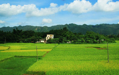 實(shí)驗田風(fēng)采